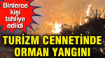 Turizm cennetinde orman yangını: Binlerce kişi tahliye edildi
