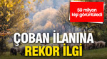 Çoban ilanına rekor ilgi: 59 milyon kişi görüntüledi