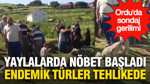 Ordu'da sondaj gerilimi: Yaylalarda nöbet başladı, endemik türler için uyarılarda bulunuldu