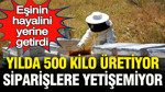 Eşinin hayalini yerine getirdi: Kadın arıcı yılda 500 kilo üretiyor, siparişlere yetişemiyor