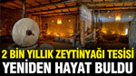 2 bin yıllık zeytinyağı tesisi yeniden hayat buldu