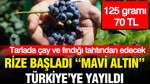 Gram gram servet: 125 gramı 70 TL olan “mavi altın” Türkiye’yi sardı