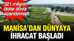 Manisa’dan dünyaya ihracat başladı: Erkenci üzüm 321 milyon dolar döviz kazandırmıştı