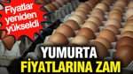Yumurta fiyatlarına zam: Fiyatlar yeniden yükseldi
