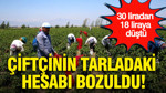 Çiftçinin tarladaki hesabı bozuldu: 30 liradan 18 liraya düştü