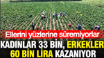 Kadınlar ayda 33 bin, erkekler 60 bin lira kazanıyor: Ellerini yüzlerine süremiyorlar