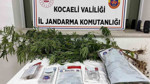 Kocaeli’de 1 kilo esrar ele geçirildi