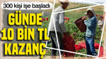 Günde 10 bin TL kazanç elde ediyorlar: 300 kişi işe başladı