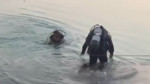 Sabah serinliği ölümle bitti: 20 yaşındaki Ali'den acı haber
