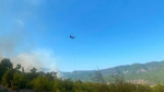 Antalya'da orman yangını: Havadan ve karadan müdahale sürüyor
