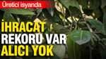 İhracat rekoru var, alıcı yok: Üretici isyanda