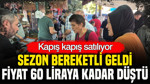Sezon bereketli geldi, fiyat 60 TL'ye kadar düştü: Kapış kapış satılıyor