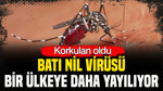 Korkulan oldu: Batı Nil Virüsü bir ülkeye daha yayılıyor