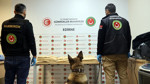Kapıkule’de TIR’a gizlenmiş 50 kilo uyuşturucu ele geçirildi
