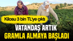 Kilosu 3 bin TL'ye çıktı: Vatandaş artık gramla almaya başladı
