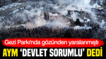 Gezi Parkı'nda fişekle gözünden yaralanmıştı: AYM 'Devlet sorumlu' dedi