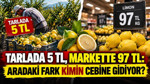 Limon tarlada 5 TL, rafta 97 TL: Aradaki fark kimin cebine gidiyor?