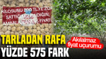 Tarladan rafa yüzde 575 fark: Akılalmaz fiyat uçurumu