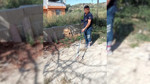 Hatay’da mahalle arasında görülen yılan panik yarattı
