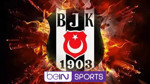 Beşiktaş düğmeye bastı! beIN Sports hakkında suç duyurusu