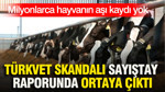 TÜRKVET skandalı Sayıştay raporunda ortaya çıktı: Milyonlarca hayvanın aşı kaydı yok