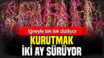 İğneyle tek tek diziliyor: Kurutması 2 ay sürüyor