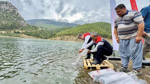 Mersin’de 17 göl ve gölete yüz binlerce sazan yavrusu salındı