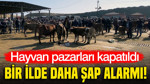 Yozgat’ta şap alarmı: Canlı hayvan pazarları kapatıldı