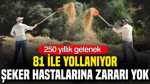250 yıllık gelenek: 81 ile yollanıyor, şeker hastalarına zararı yok