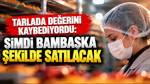 Tarlada değerini kaybediyordu: Şimdi bambaşka şekilde satılacak