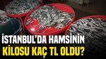Hamsi fiyatları ne kadar? İstanbul'da hamsinin kilosu kaç TL oldu?