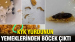 KYK yurdunun yemeklerinden kurt ve böcek çıktı