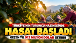 Türkiye’nin turuncu hazinesinde hasat başladı: Geçen yıl 912 milyon dolar getirdi