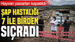 Şap Hastalığı Nedir? Hayvan Pazarları Kapatıldı
