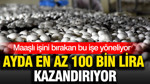 Ayda en az 100 bin lira kazandırıyor: Maaşlı işini bırakan bu işe yöneliyor