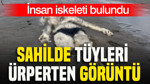Sahilde tüyleri ürperten görüntü: İnsan iskeleti bulundu