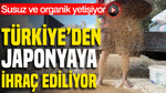 Türkiye'den Japonya'ya ihraç ediliyor: Susuz ve organik yetişiyor