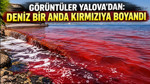 Görüntüler Yalova'dan: Deniz bir anda kırmızıya boyandı