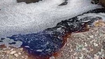 Kırmızı renge bürünen kıyı şeridi panik yarattı