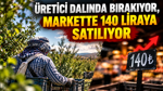 Üretici dalında bırakıyor, markette 140 liraya satılıyor