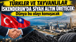 Türkler ve Tayvanlılar İskenderun'da siyah altın üretecek: Dünya bu olayı konuşacak