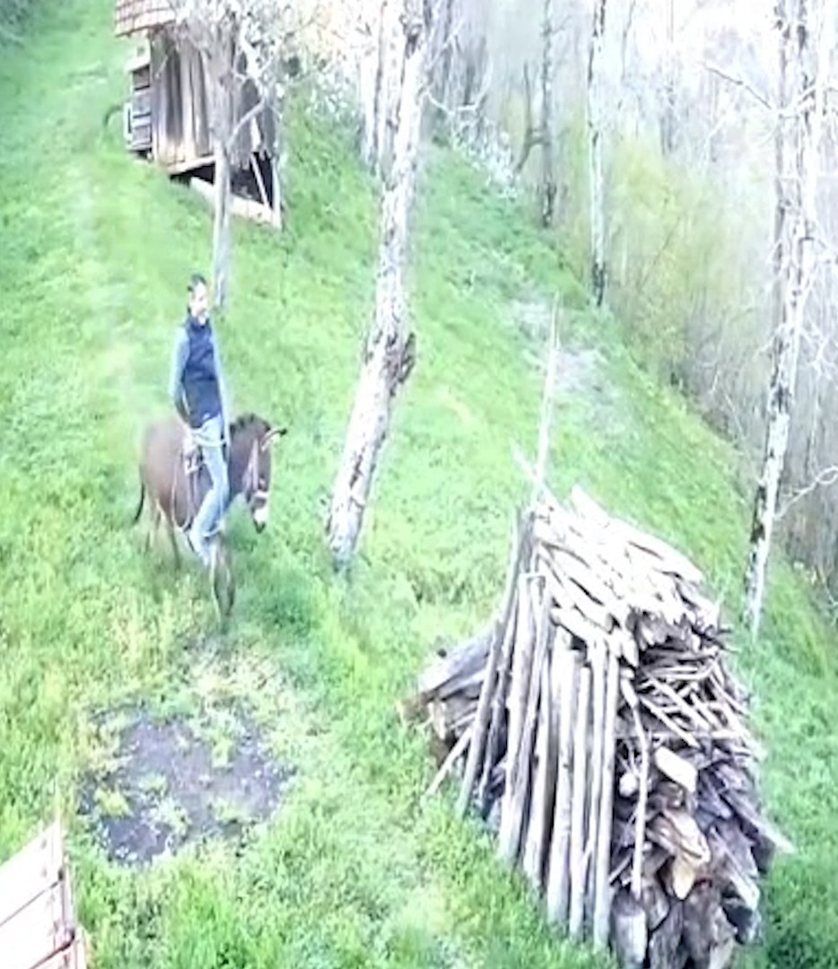 Huysuzlanan eşek sahibini sırtından attı: Ordu’da ilginç anlar kamarada - Resim : 1