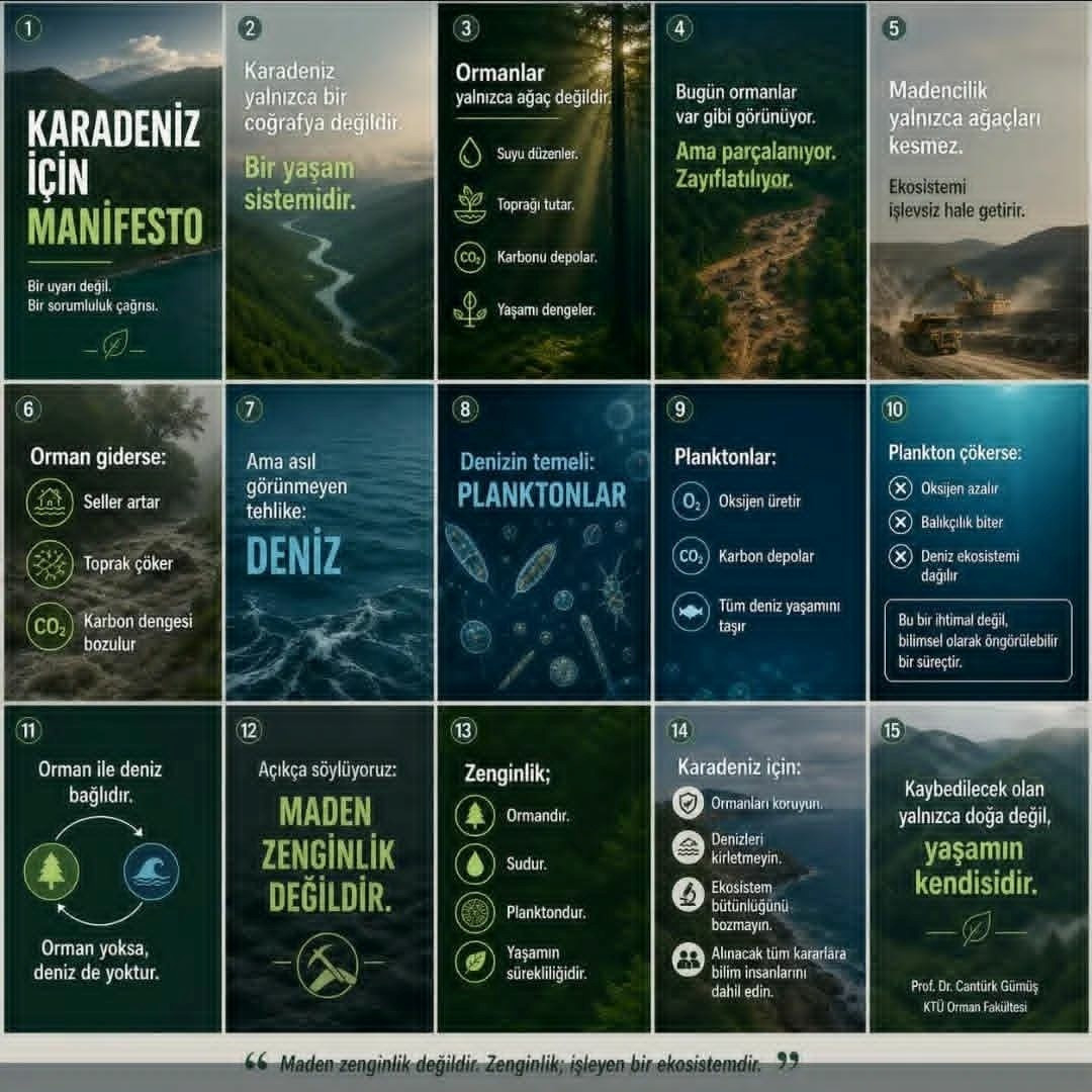 Karadeniz i&ccedil;in manifesto - Resim : 1