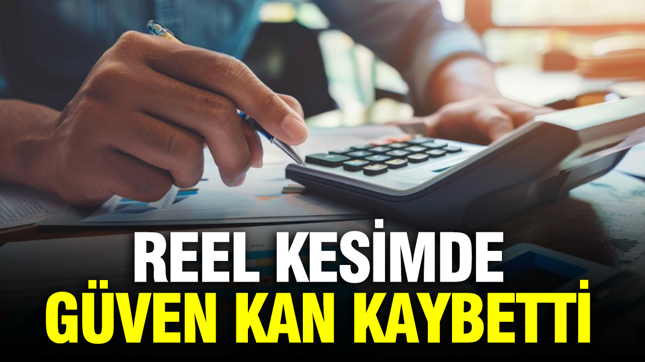 Finansal kesim dışındaki döviz açığı arttı - Resim : 3