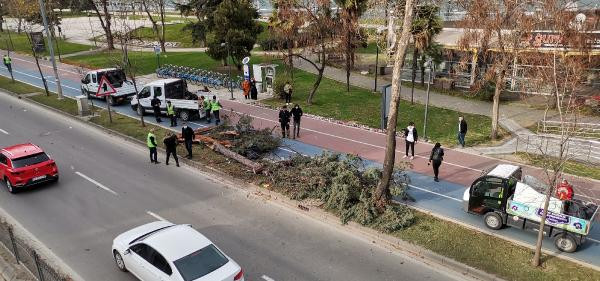 Ordu’da şiddetli rüzgar çatıları uçurdu - Resim : 4