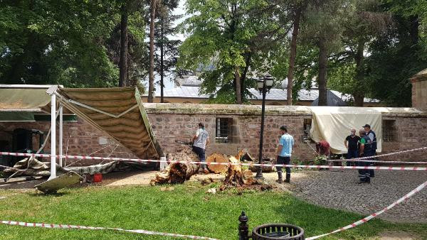 İzmit'te şiddetli rüzgardan ağaç devrildi - Resim : 2