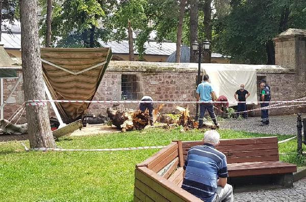 İzmit'te şiddetli rüzgardan ağaç devrildi - Resim : 5
