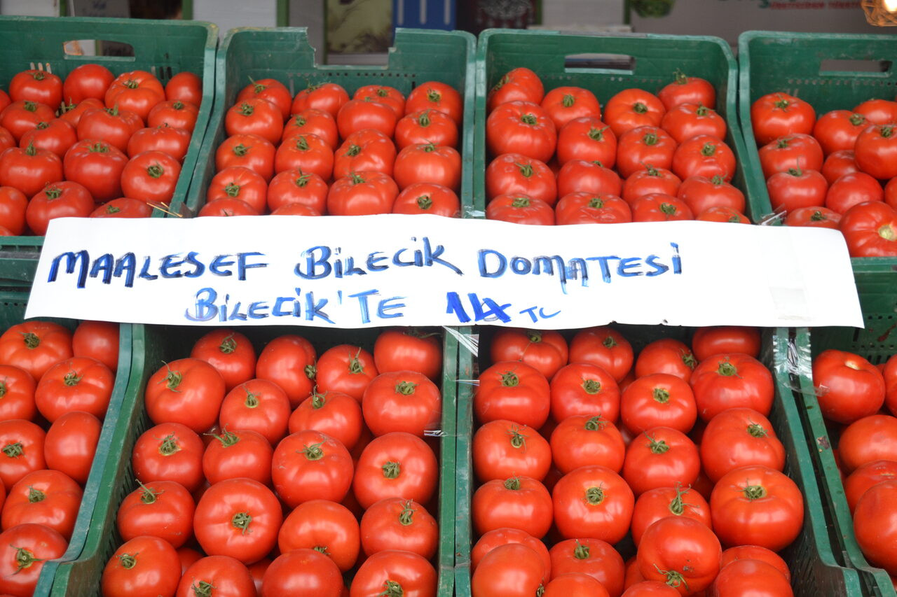 Bilecik'te bir manavın etiketi: Maalesef Bilecik domatesi Bilecik'te 14 TL - Resim : 2