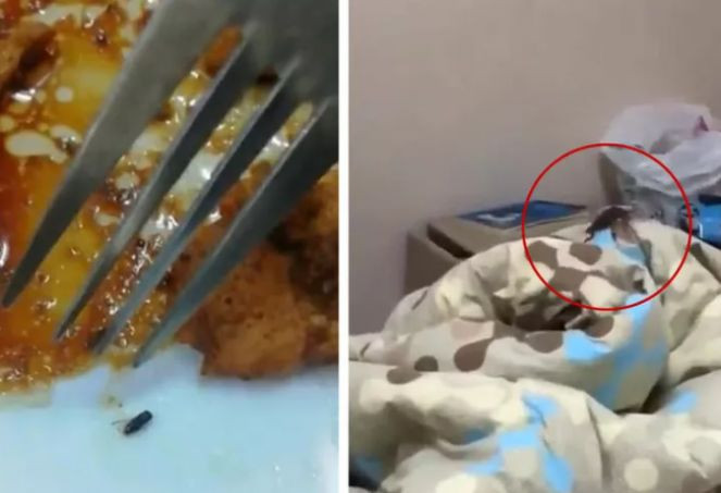 KYK kız &ouml;ğrenci yurdunda şok g&ouml;r&uuml;nt&uuml;ler. Bu mu &ouml;ğrencilerimize verdiğiniz kıymet - Resim : 3