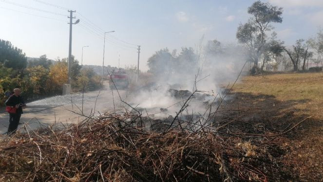 Zeytin ağa&ccedil;larının bulunduğu arazi alev alev yandı - Resim : 2